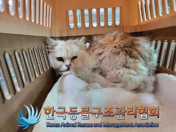 한국동물구조관리협회_441406202300867
